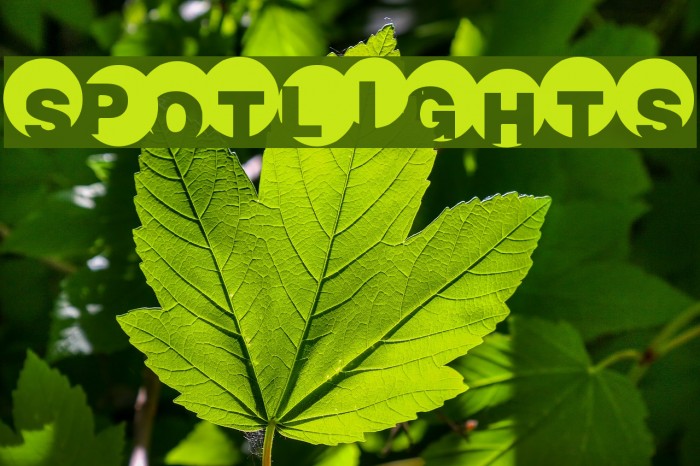 SpotLights Font examples