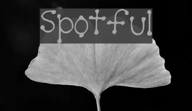 Spotful Font examples