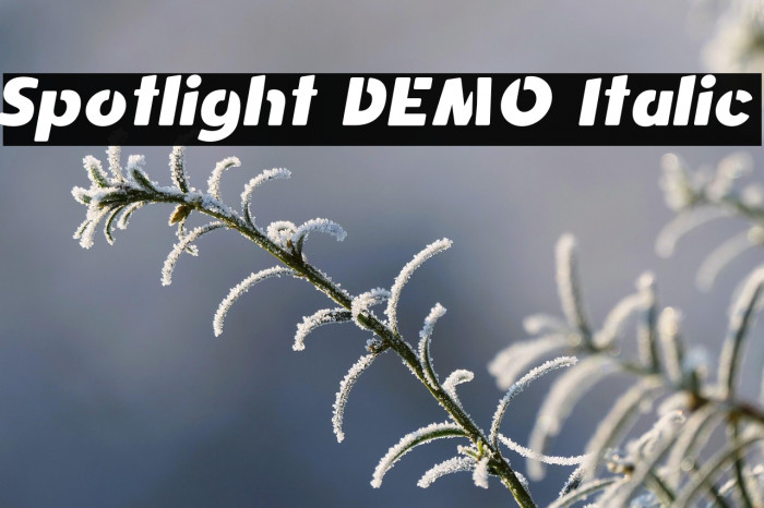 Spotlight DEMO Italic Example 1