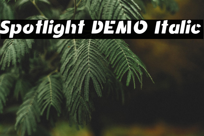 Spotlight DEMO Italic Example 3