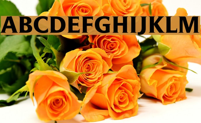 SpotlightRomat Font examples
