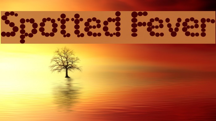 Spotted Fever Font examples