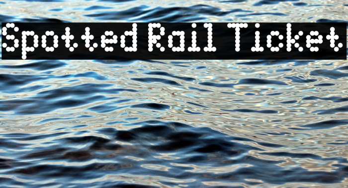 Spotted Rail Ticket Example 2