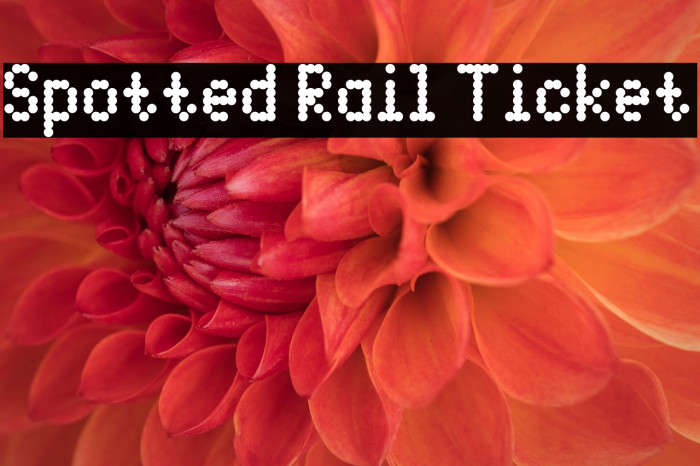 Spotted Rail Ticket Example 3
