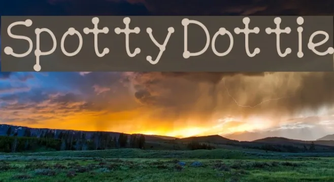 SpottyDottie Example 3