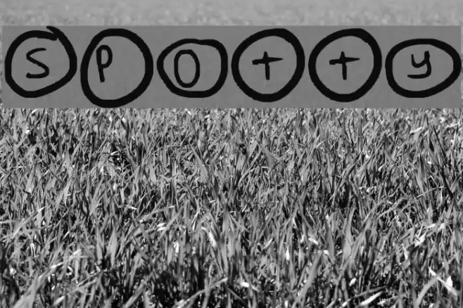 Spotty Font examples