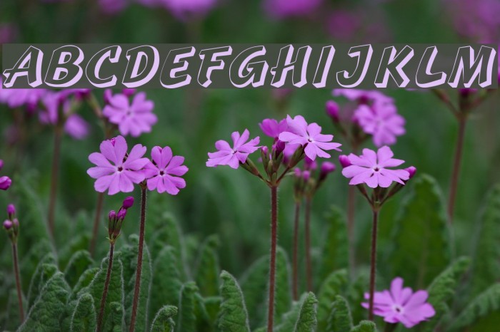 Sprague Font examples