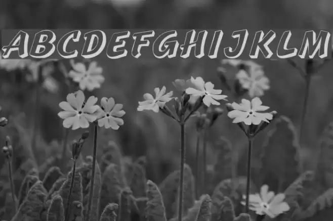 Sprague Font examples
