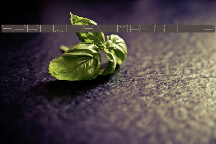 Sprawl SlimRegular Example 1