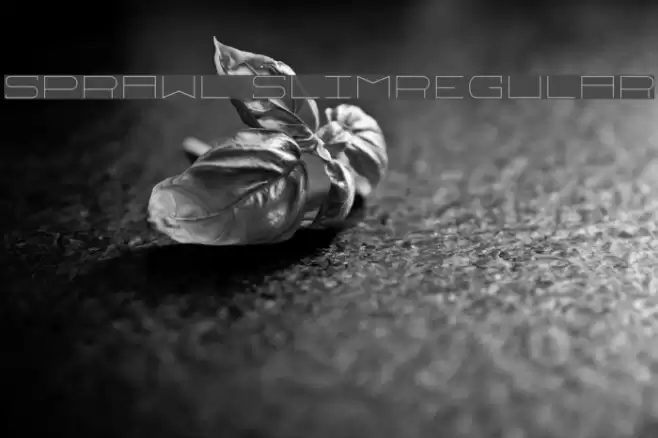 Sprawl SlimRegular Font examples