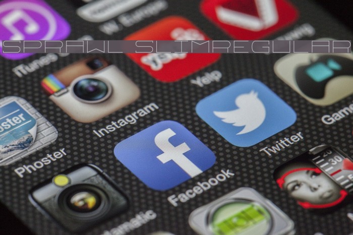 Sprawl SlimRegular Example 3