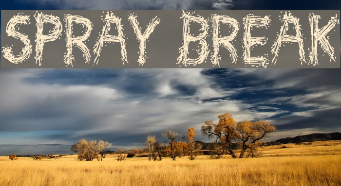Spray Break Font examples