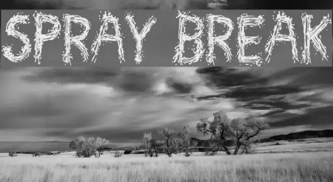 Spray Break フォント examples