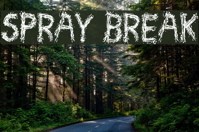 Spray Break Font examples