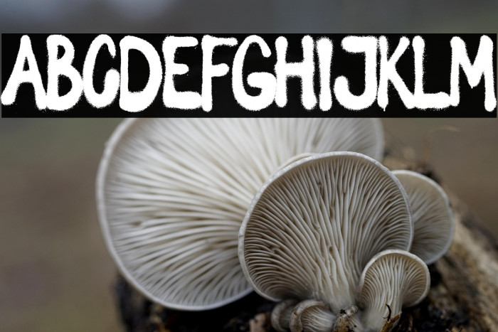 Spray Letters Example 2