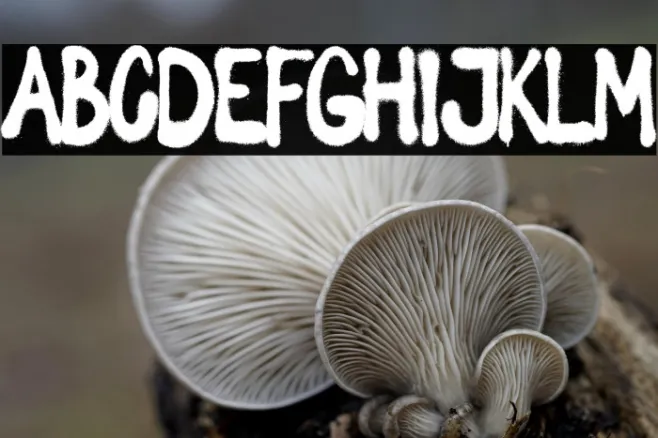 Spray Letters Example 2