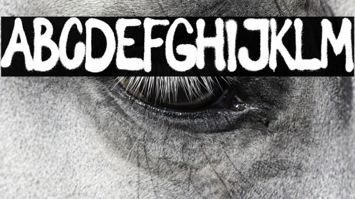 Spray Letters Example 3