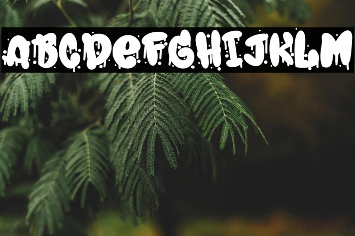 Spray Typo Gang Example 1