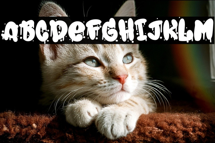 Spray Typo Gang Example 3