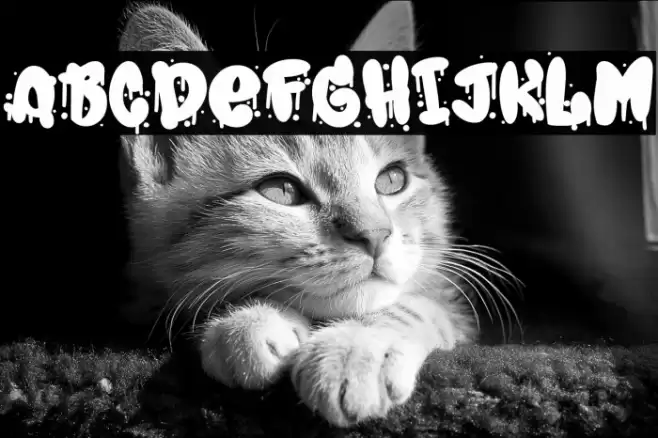 Spray Typo Gang Font examples