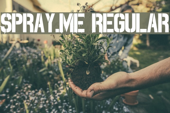 Spray.ME Regular Font examples
