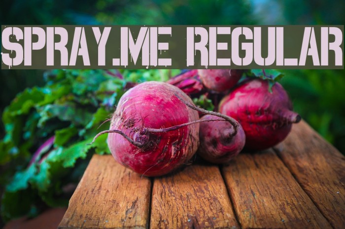 Spray.ME Regular Font examples