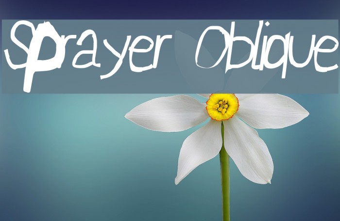 Sprayer Oblique Font examples