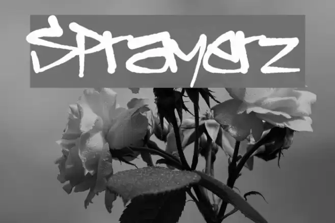 Sprayerz Font examples