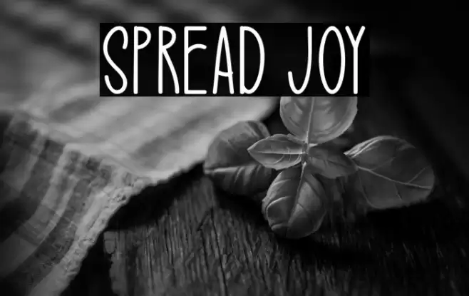 Spread Joy Schriftart examples