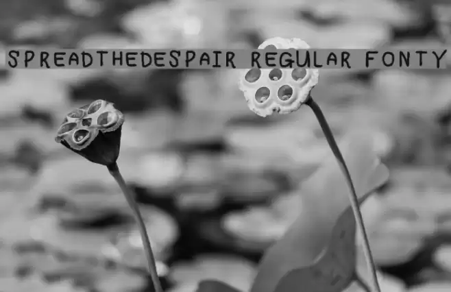 Spreadthedespair Regular Fonty Шрифта examples