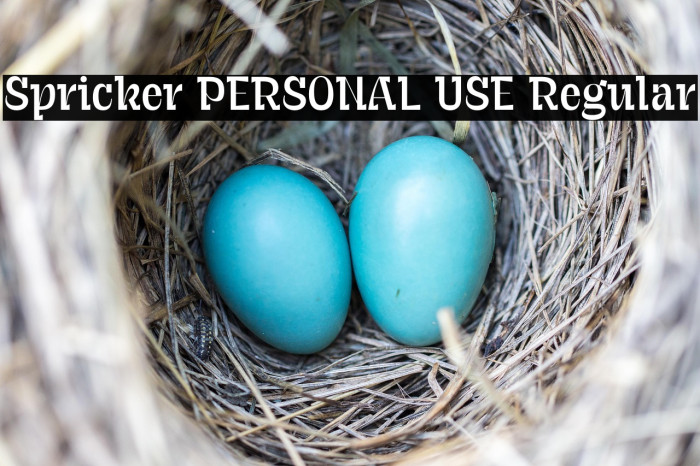 Spricker PERSONAL USE Regular Example 1