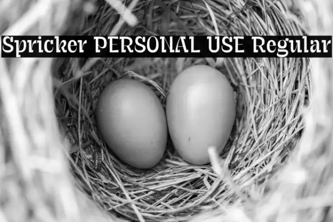 Spricker PERSONAL USE Regular Font examples