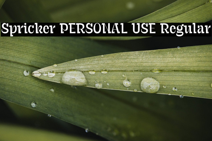 Spricker PERSONAL USE Regular Example 2