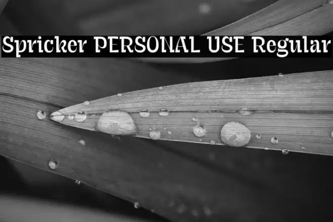 Spricker PERSONAL USE Regular Font examples