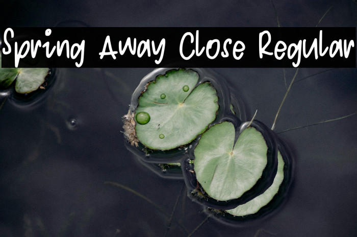 Spring Away Close Regular Font examples