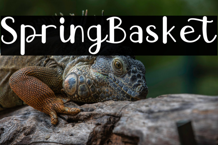 Spring Basket Example 1