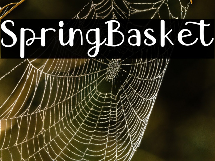 Spring Basket Example 2