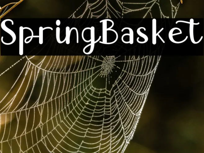 Spring Basket Example 2