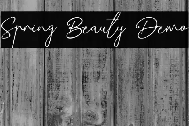 Spring Beauty Demo フォント examples