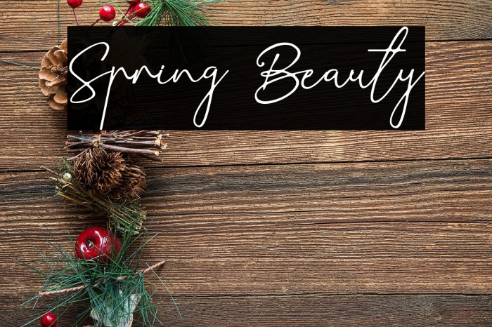 Spring Beauty Example 1