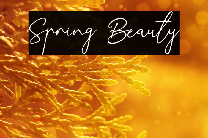 Spring Beauty Example 3