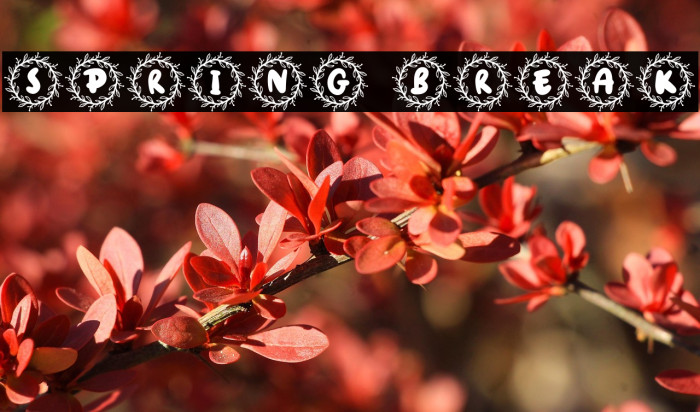 Spring Break Example 1