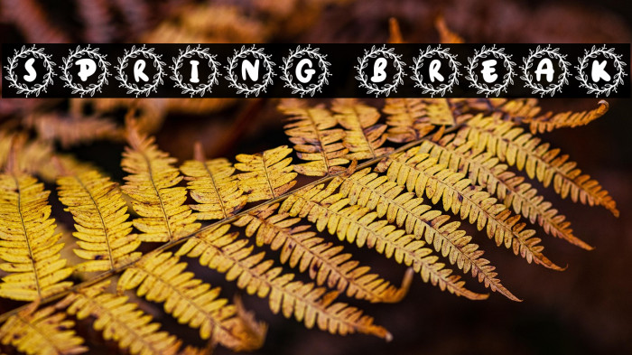Spring Break Example 2