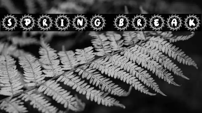 Spring Break फ़ॉन्ट examples