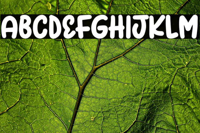 Spring Bubbles Example 2