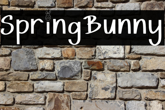 Spring Bunny Example 1