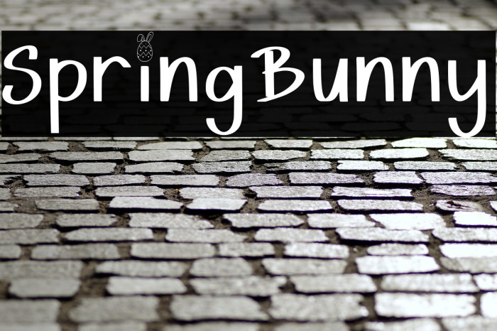 Spring Bunny Example 2