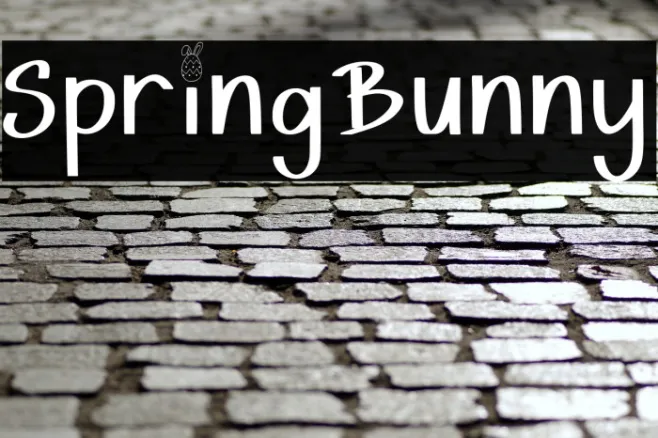 Spring Bunny Example 2
