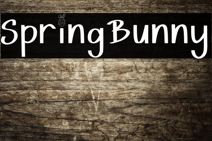 Spring Bunny Example 3