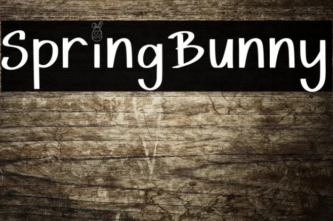 Spring Bunny Example 3